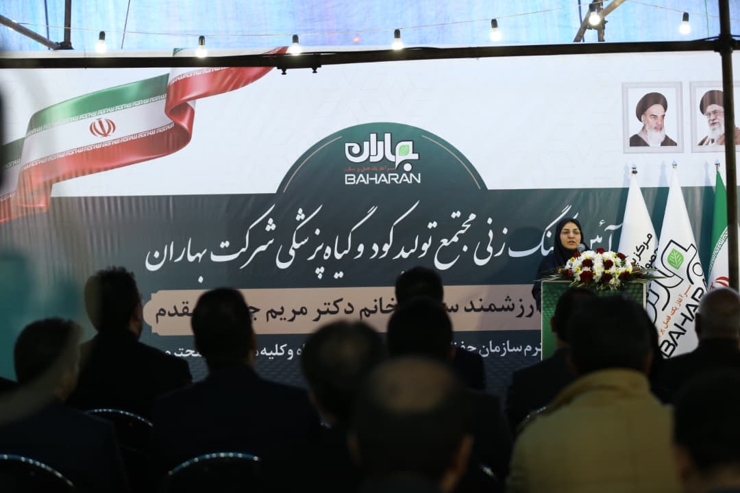 WhatsApp Image 2025-12-18 at 10.58.44 (1)