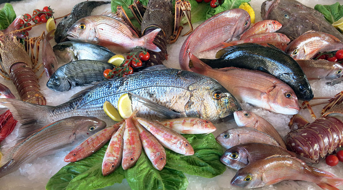انواع ماهی خوراکی