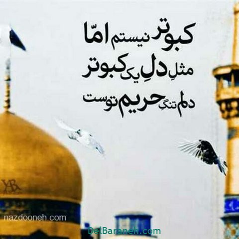 عکس نوشته امام رضا (۳۱)