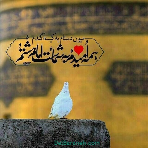 عکس نوشته امام رضا (۲۹)