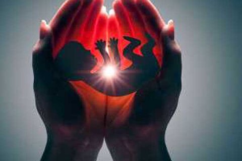 سقط جنین قانونی