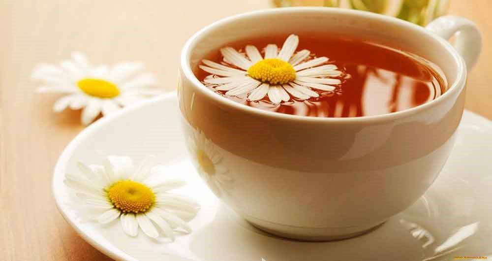 با مصرف این گیاهان دارویی، به سلامت از پاییز گذر کنید!