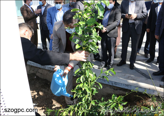 کارکنان زاگرس جنوبی با کاشت ۱۰۰۰ اصله نهال در روز درختکاری 20