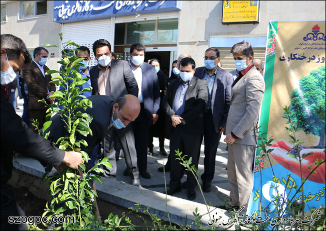 کارکنان زاگرس جنوبی با کاشت ۱۰۰۰ اصله نهال در روز درختکاری 18