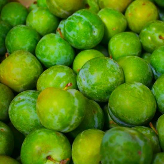 مضرات گوجه سبز
