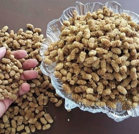 خواص توت خشک شده, توت خشک, کالری توت خشک