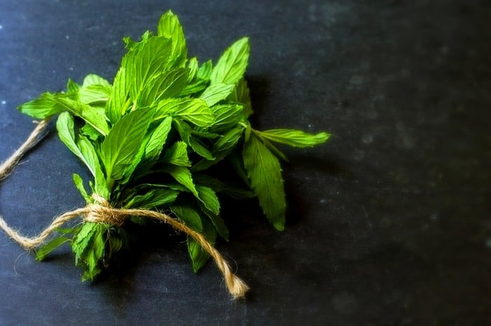 فواید نعناع برای معده و جلوگیری از سرطان فواید نعناع برای پوست