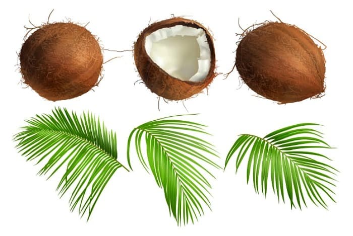 نارگیل برای لاغری