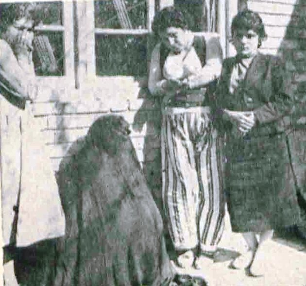 به دستور شهرداری دربِ شهرنو را از جای درآوردند و به جای آن دیوار کشیدند/ ساکنان قلعه: «ما را دارند زنده زنده توی قبر می‌گذارند»