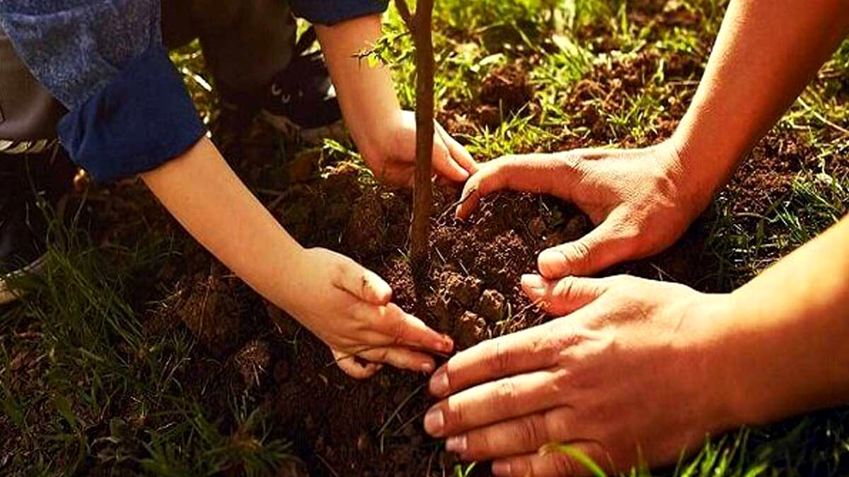۱۱۰ پویش منابع طبیعی در اصفهان همزمان با جنگ اخیر اجرا شد