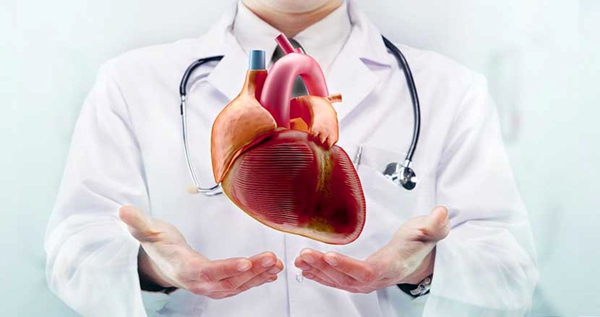 بمب ساعتی در قلب اصفهان؛ چاقی و فشار خون، قاتل خاموش ۸ هزار اصفهانی