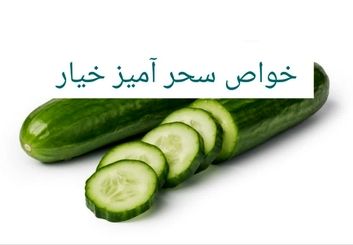 خواص و مضرات خیار | بررسی کامل ارزش غذایی