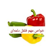 28 خواص مهم فلفل دلمه‌ای؛ طبع فلفل دلمه ای گرم است یا سرد ؟