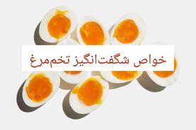 خواص و مضرات تخم مرغ؛ زرده تخم مرغ چه ویتامینی دارد؟