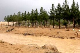 سیل در جرقویه راه افتاد