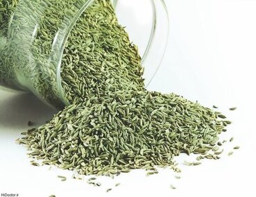 شادابی و جوانی را با مصرف رازیانه تجربه کنید