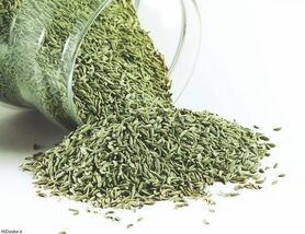 شادابی و جوانی را با مصرف رازیانه تجربه کنید
