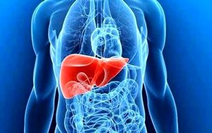 شما آن چیزی هستید که می خورید