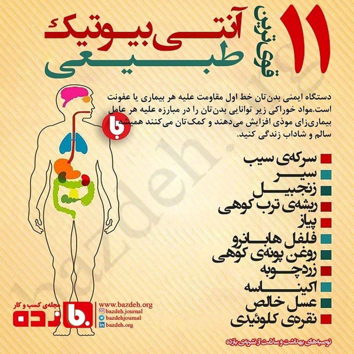 ۱۱ آنتی بیوتیک طبیعی را بشناسید+ اینفوگرافی