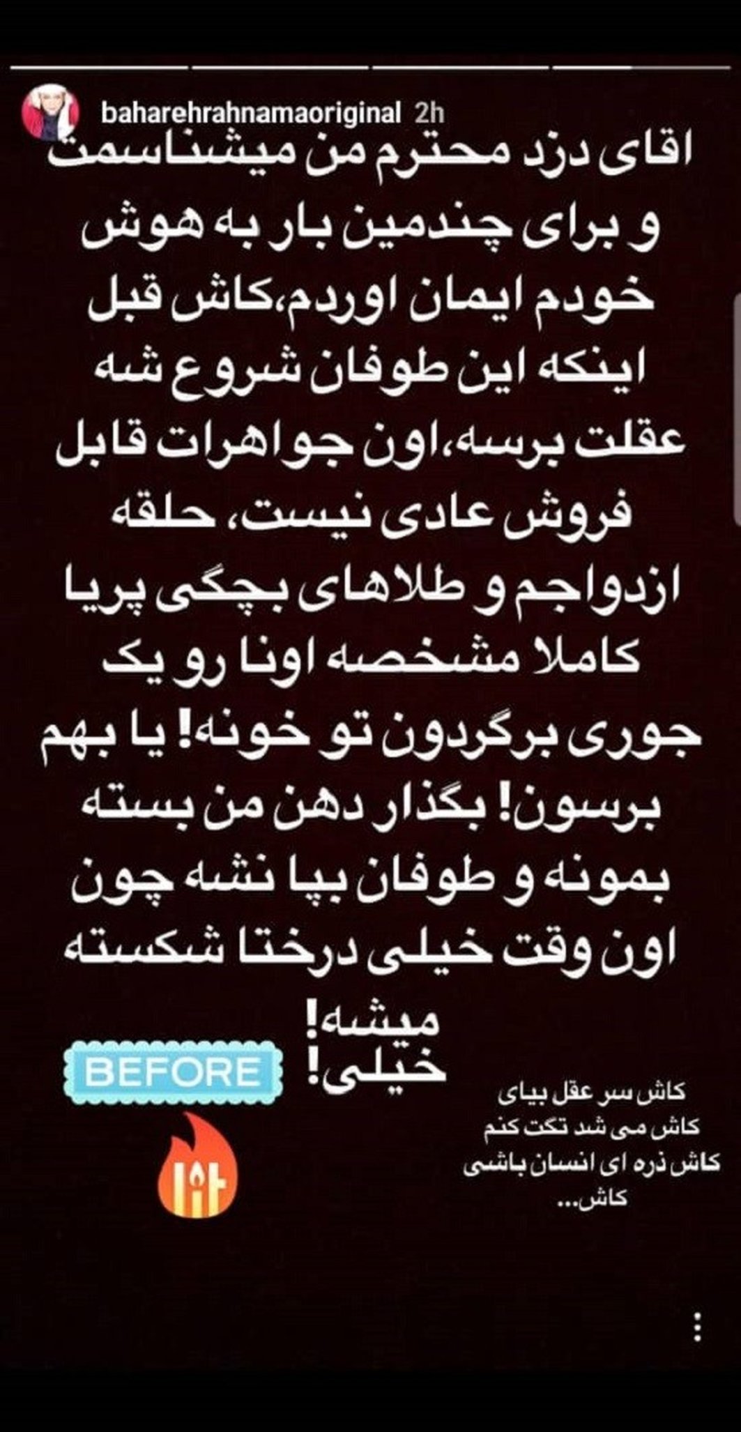 بهاره رهنما دزد خانه‌اش را تهدید کرد
