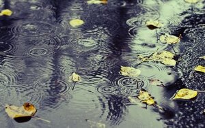 رشد یک درصدی بارش ها در سال آبیِ جاری
