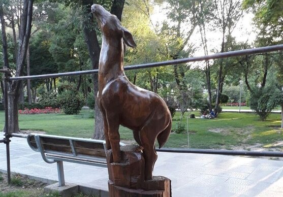 وقتی درختان شهر به دستان هنرمندان اصفهانی جان دوباره می‌گیرند