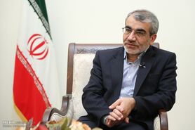 اعلام آرای انتخابات ریاست جمهوری تدریجی باشد