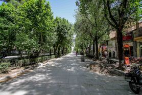 پیاده‌راه کردن چهارباغ؛ مزیت‌ها و مشکلات