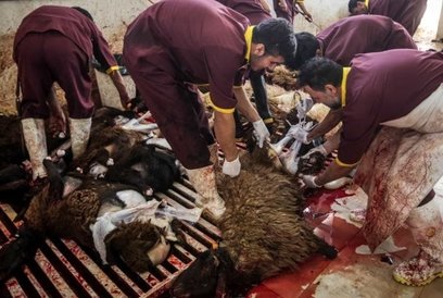 فوت جوان مبارکه ای چراغ هشدار را روشن کرد