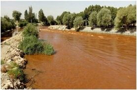 توضیحات محیط زیست پیرامون حادثه عجیب در زاینده‌رود