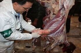 کنترل کامل بیماری تب کنگو در استان اصفهان