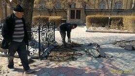 ساماندهی بوستان های سطح منطقه ۱۰ در سالجاری