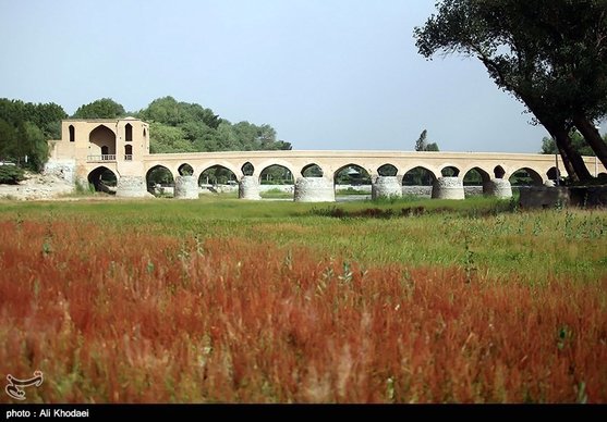 کشاورزان: اگر آب به گندم‌ها نرسد نابود می‌شوند