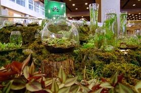 برگزاری جشنواره بهاره گل‌ و گیاه در اصفهان