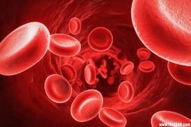 رژیم غذایی نمی‌تواند کم خونی ناشی از فقدان آهن را رفع کند