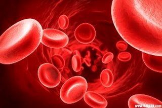 رژیم غذایی نمی‌تواند کم خونی ناشی از فقدان آهن را رفع کند