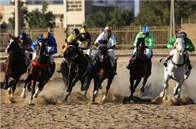 وضعیت نامساعد سوارکاری در اصفهان