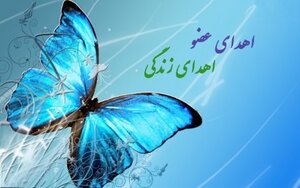 اعضای بدن جوان ۲۶ ساله به ۴ بیمار زندگی دوباره بخشید