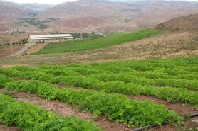 تحویل آب بصورت مستمر به کشاورزان اصفهانی تا دیماه امکانپذیر نیست