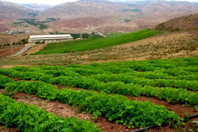 تحویل آب بصورت مستمر به کشاورزان اصفهانی تا دیماه امکانپذیر نیست