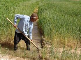 اقدام خداپسندانه مؤسسه عیاران در کشور نوظهور است