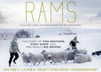 اکران و نقد و بررسی «قوچ ها» در عصرهای سینما