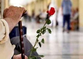 یک چهارم جمعیت استان اصفهان را سالمندان تشکیل می‌دهند