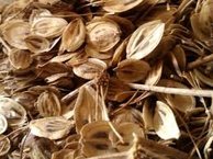 درمان دردهای مفصلی با مصرف "گلپر"