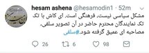 طعنه حسام‌ الدین آشنا به برخی نمایندگان مجلس