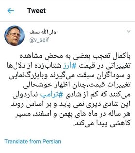 سیف: برخی از گرانی ارز بیشتر از ترامپ خوشحال می شوند