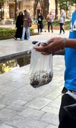 پویش «جان شما و جان چهارباغ» در روز جهانی بدون دخانیات برگزار شد+فیلم