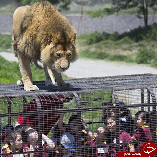 متفاوت‌ترین باغ وحش دنیا