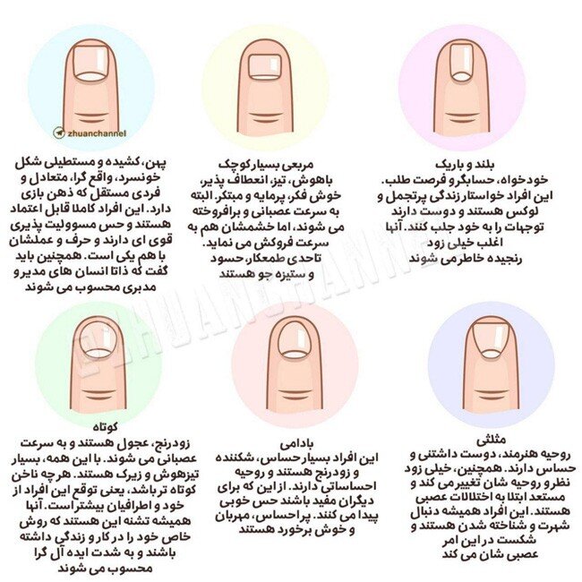 اینفوگرافی: شخصیت شناسی با شکل ناخن