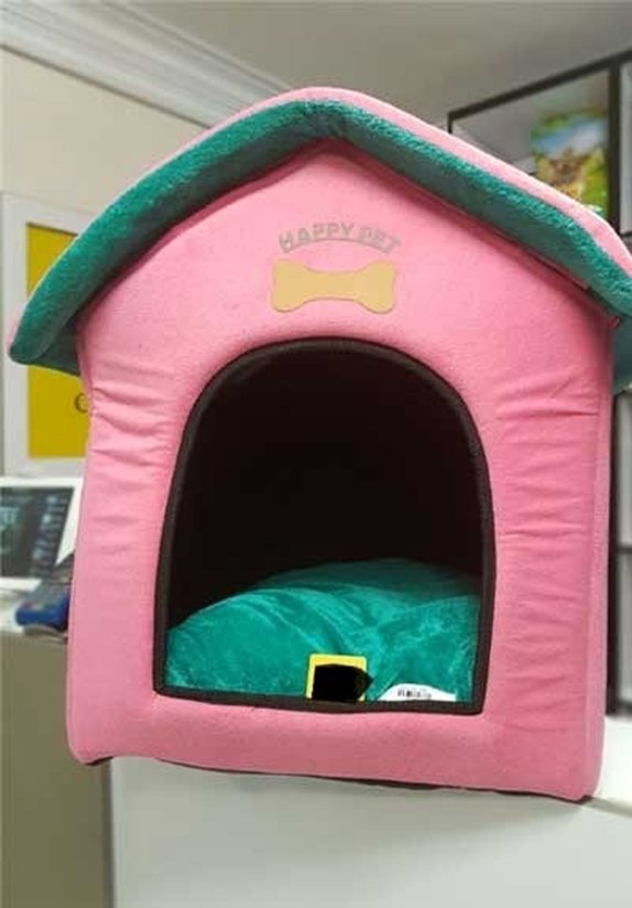 برس کشی و ناخن گیری و ماساژ سگ فقط 35 هزار تومان!